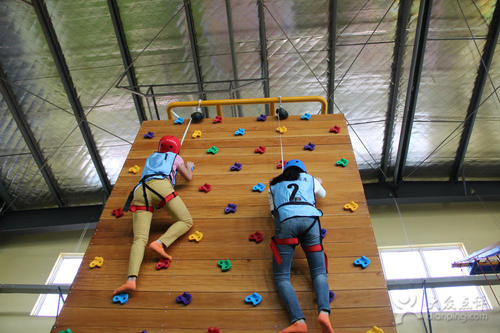 Wooden kids lowest price rope course climbing wall for sale Chinese supplier-SPIRIT PLAY,Outdoor Playground, Indoor Playground,Trampoline Park,Outdoor Fitness,Inflatable,Soft Playground,Ninja Warrior,Trampoline Park,Playground Structure,Play Structure,Outdoor Fitness,Water Park,Play System,Freestanding,Interactive,independente ,Inklusibo, Park, Pagsaka sa Bungbong, Dula sa Bata
